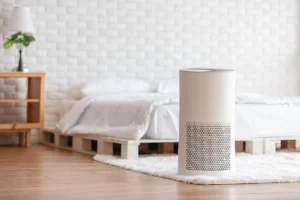 do air purifiers help with smell