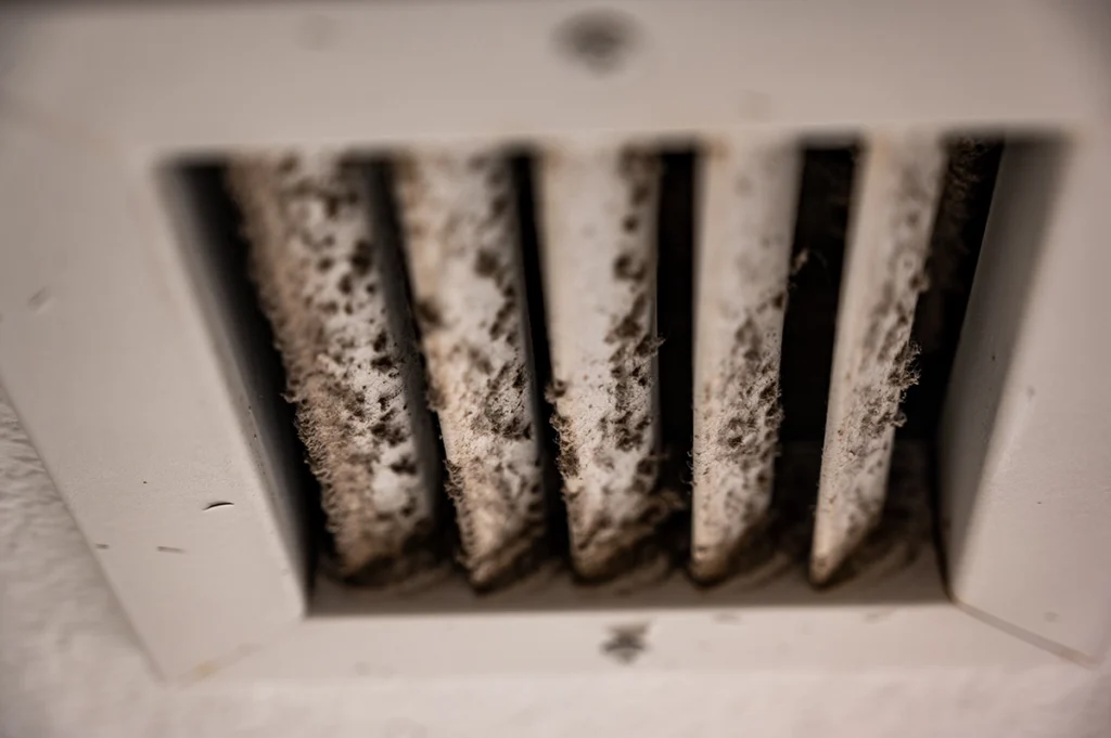 mold in hvac ducts