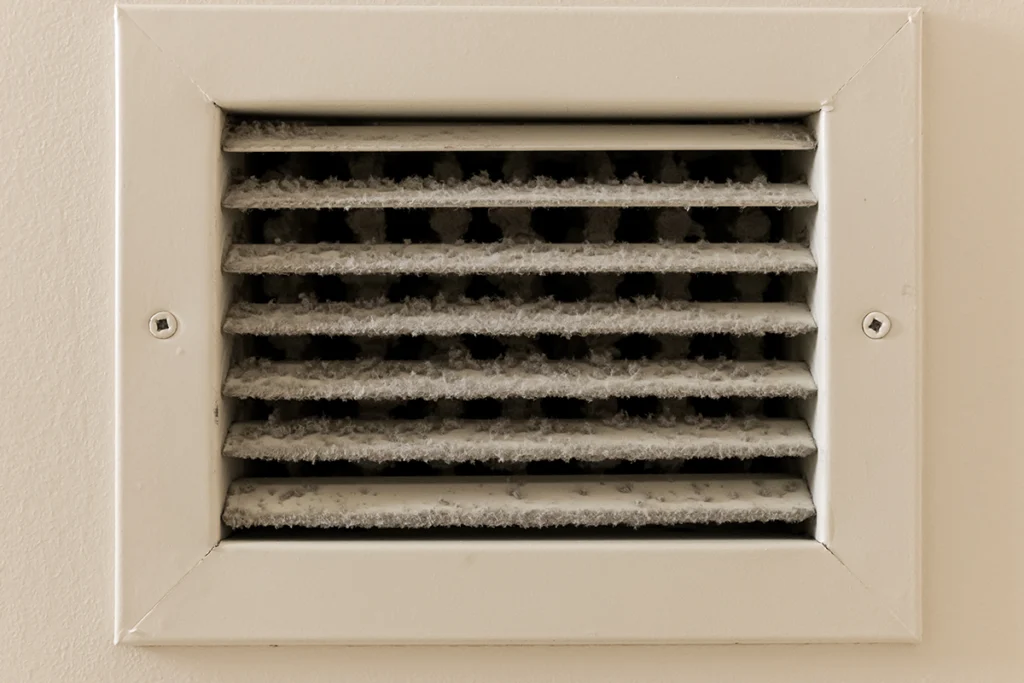 mold in ac unit